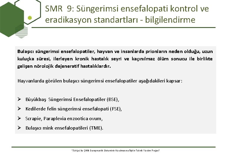 SMR 9: Süngerimsi ensefalopati kontrol ve eradikasyon standartları - bilgilendirme Bulaşıcı süngerimsi ensefalopatiler, hayvan