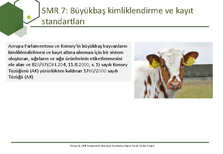 SMR 7: Büyükbaş kimliklendirme ve kayıt standartları Avrupa Parlamentosu ve Konsey’in büyükbaş hayvanların kimliklendirilmesi