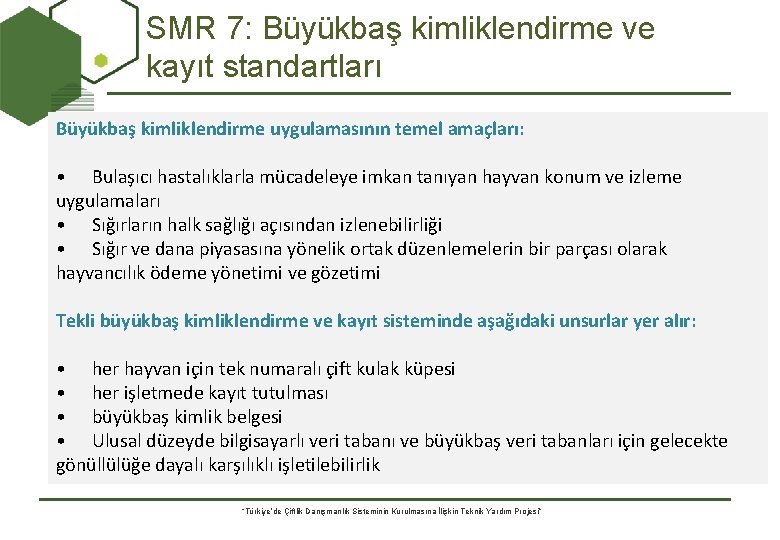 SMR 7: Büyükbaş kimliklendirme ve kayıt standartları Büyükbaş kimliklendirme uygulamasının temel amaçları: • Bulaşıcı