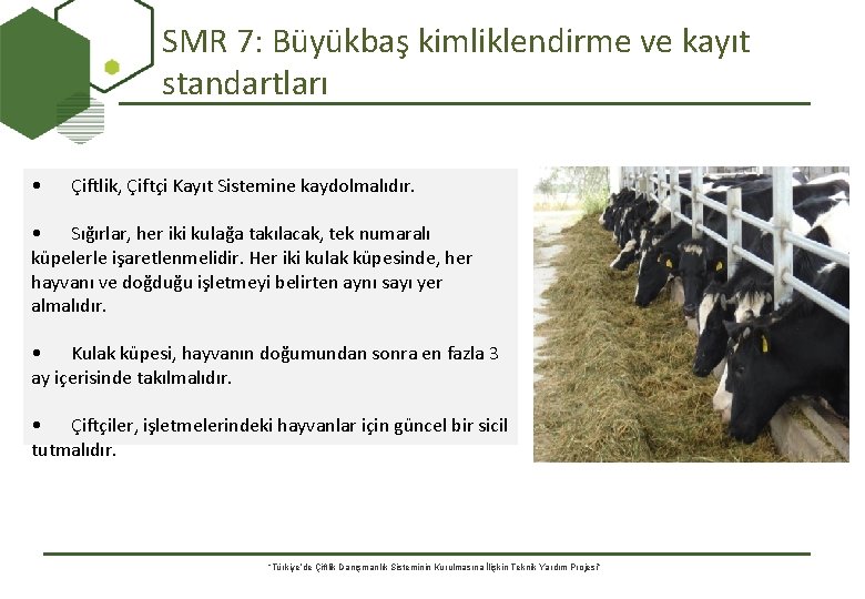 SMR 7: Büyükbaş kimliklendirme ve kayıt standartları • Çiftlik, Çiftçi Kayıt Sistemine kaydolmalıdır. •