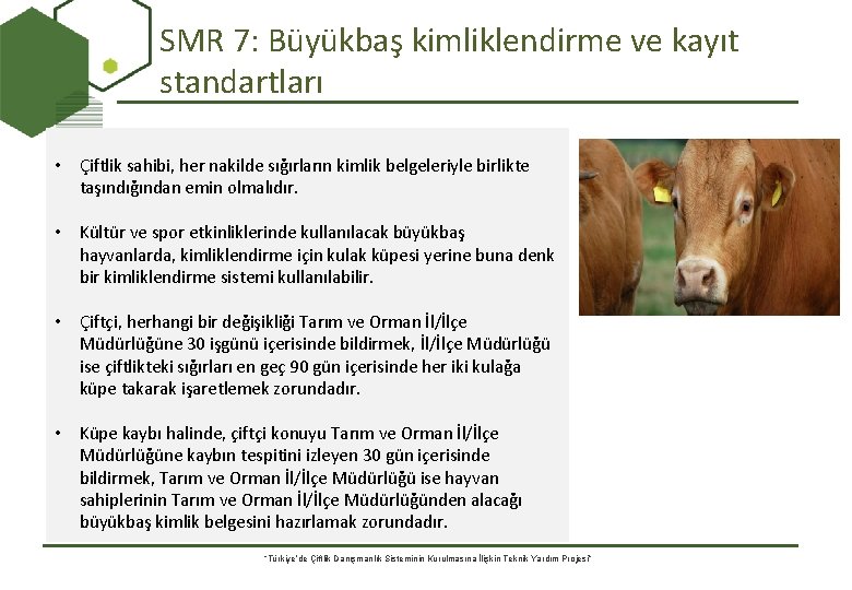 SMR 7: Büyükbaş kimliklendirme ve kayıt standartları • Çiftlik sahibi, her nakilde sığırların kimlik