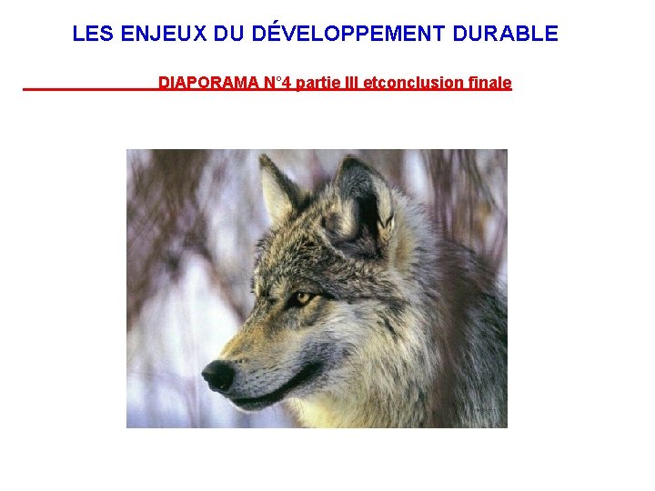  LES ENJEUX DU DÉVELOPPEMENT DURABLE DIAPORAMA N° 4 partie III etconclusion finale 