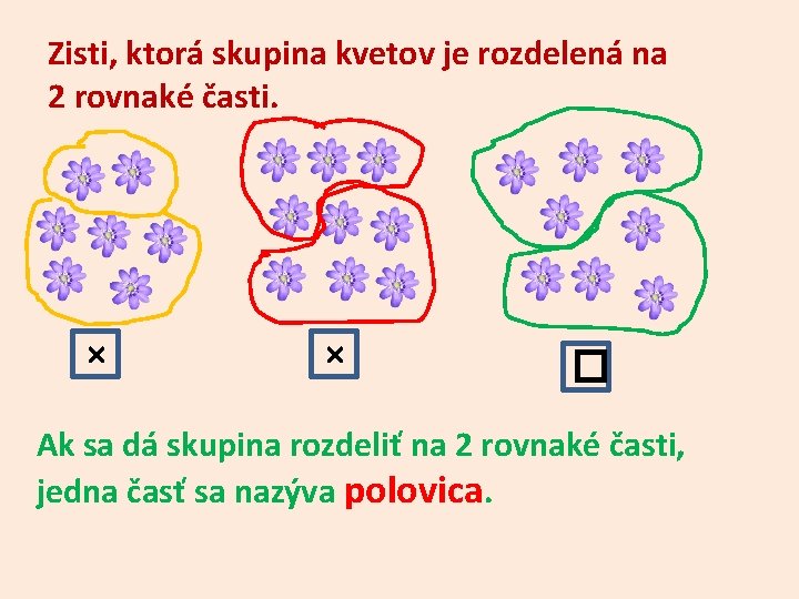 Zisti, ktorá skupina kvetov je rozdelená na 2 rovnaké časti. × × � Ak