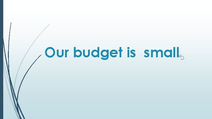 Our budget is small 