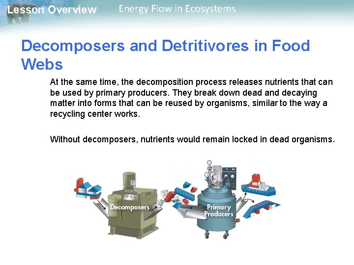 Lesson Overview Energy Flow in Ecosystems Decomposers and Detritivores in Food Webs At the Lesson Overview Energy Flow in Ecosystems Decomposers and Detritivores in Food Webs At the