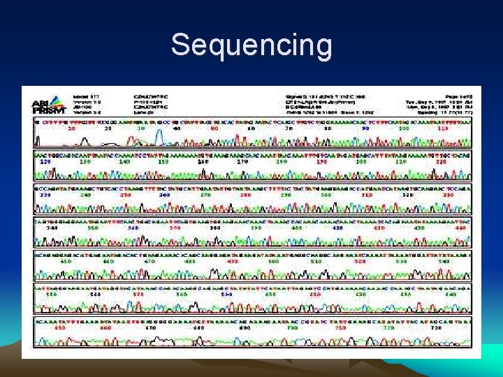 Sequencing 