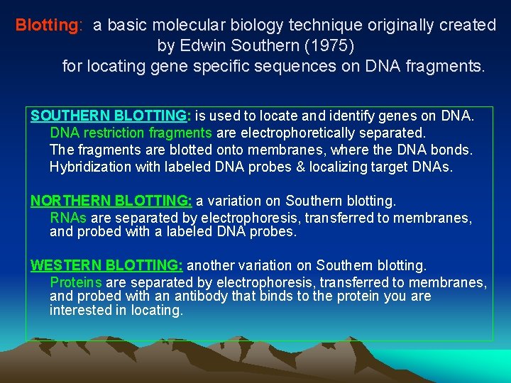 Blotting: a basic molecular biology technique originally created by Edwin Southern (1975) for locating
