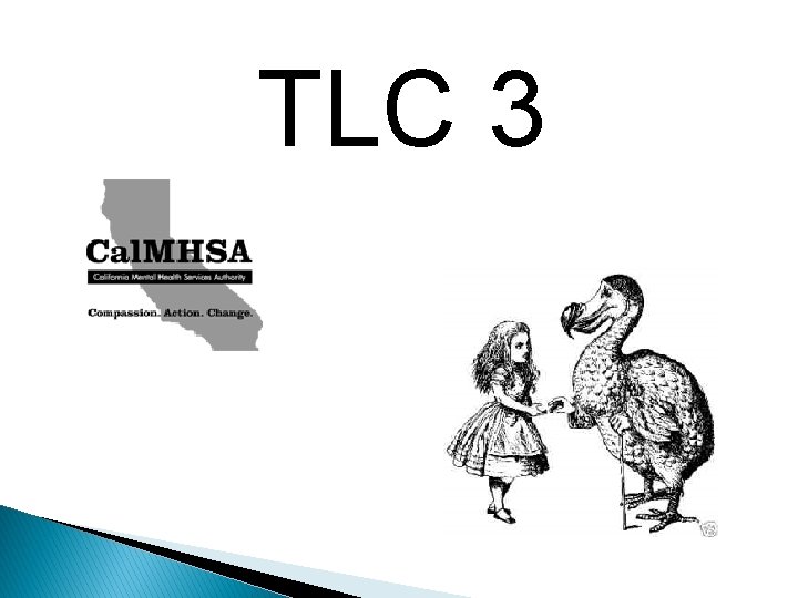 TLC 3 