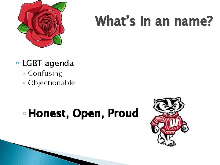 What’s in an name? LGBT agenda ◦ Confusing ◦ Objectionable ◦ Honest, Open, Proud