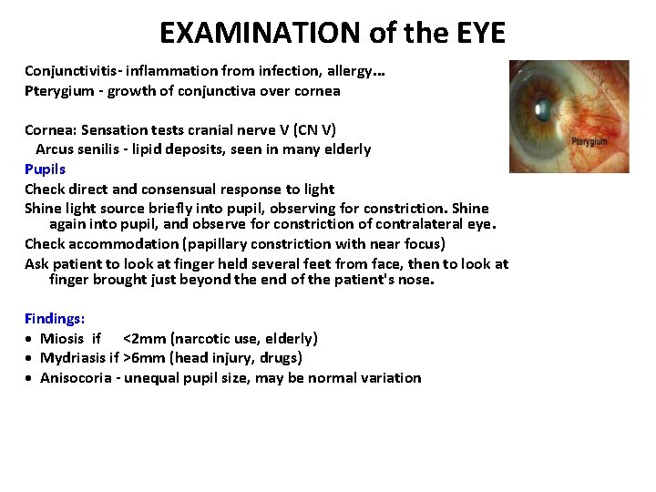 EXAMINATION of the EYE Conjunctivitis- inflammation from infection, allergy. . . Pterygium - growth