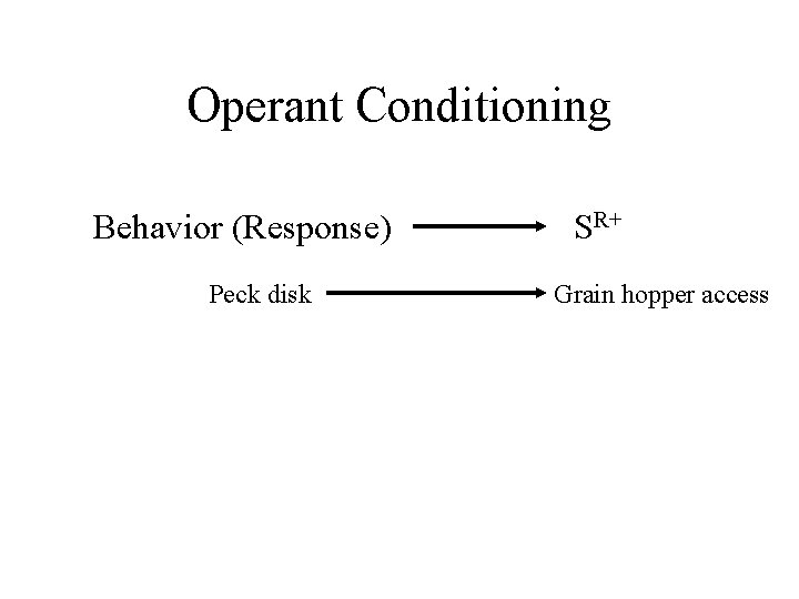 Operant Conditioning Behavior (Response) Peck disk SR+ Grain hopper access 