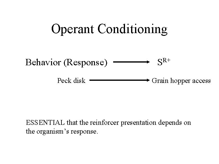 Operant Conditioning Behavior (Response) Peck disk SR+ Grain hopper access ESSENTIAL that the reinforcer