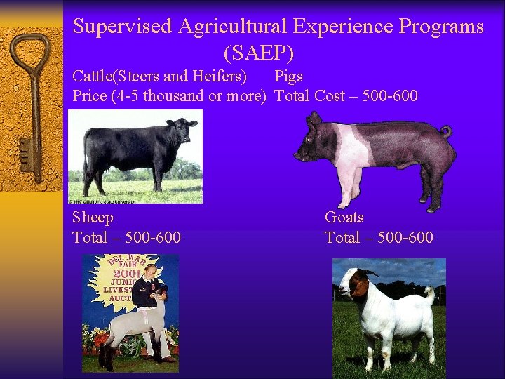 Supervised Agricultural Experience Programs (SAEP) Cattle(Steers and Heifers) Pigs Price (4 -5 thousand or