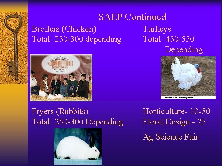 SAEP Continued Broilers (Chicken) Total: 250 -300 depending Turkeys Total: 450 -550 Depending Fryers