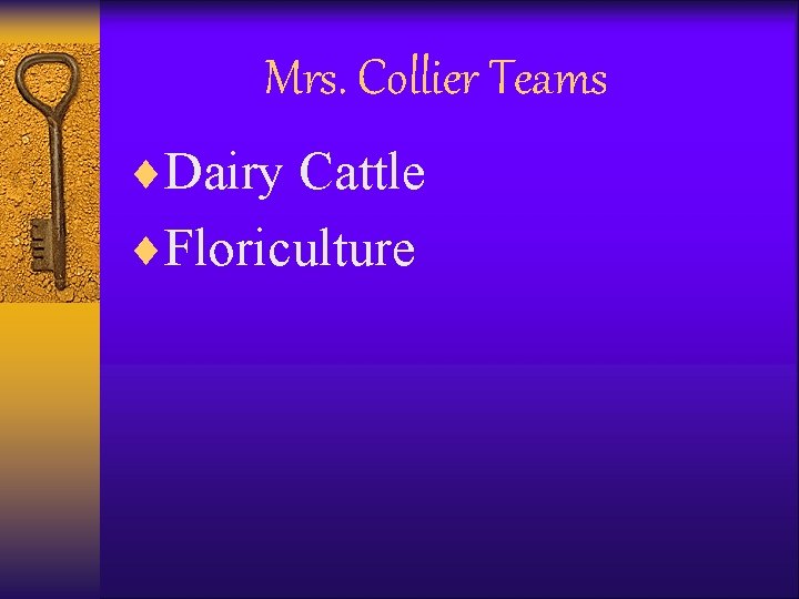 Mrs. Collier Teams ¨Dairy Cattle ¨Floriculture 