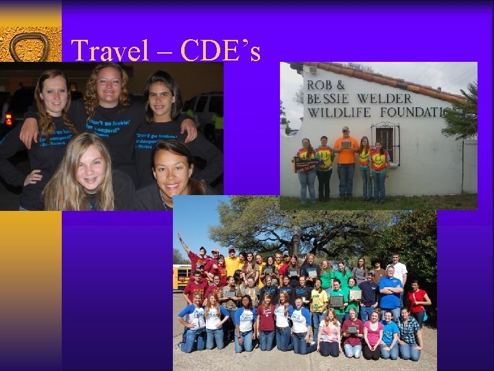 Travel – CDE’s Travel – CDE’s