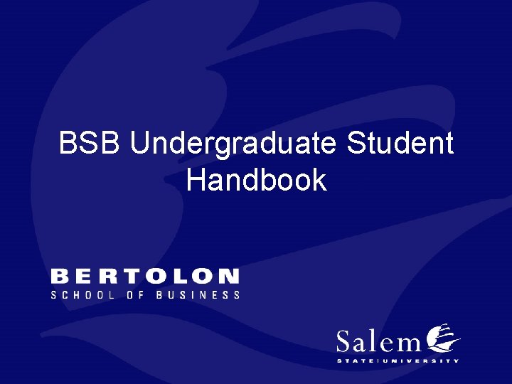 BSB Undergraduate Student Handbook 