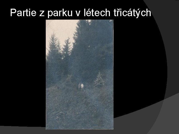 Partie z parku v létech třicátých Partie z parku v létech třicátých