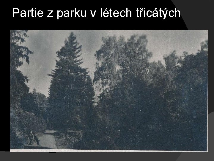 Partie z parku v létech třicátých Partie z parku v létech třicátých