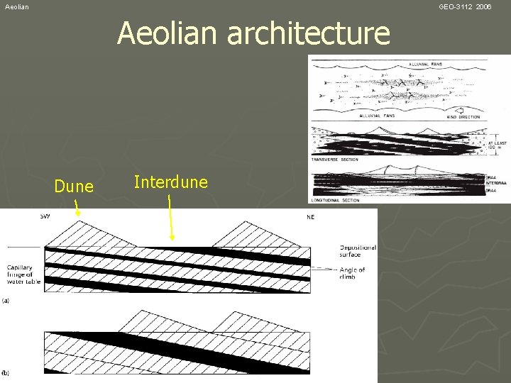 Aeolian GEO-3112 2006 Aeolian architecture Dune Interdune 