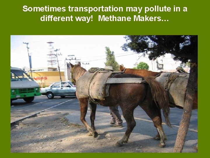Sometimes transportation may pollute in a different way! Methane Makers… 