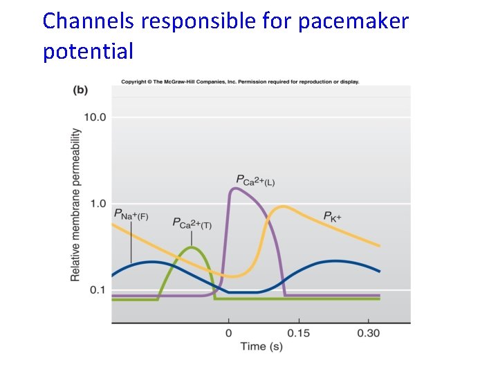 Channels responsible for pacemaker potential 