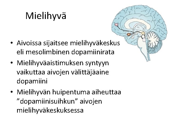 Mielihyvä • Aivoissa sijaitsee mielihyväkeskus eli mesolimbinen dopamiinirata • Mielihyväaistimuksen syntyyn vaikuttaa aivojen välittäjäaine