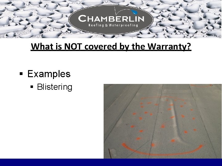 What is NOT covered by the Warranty? § Examples § Blistering 