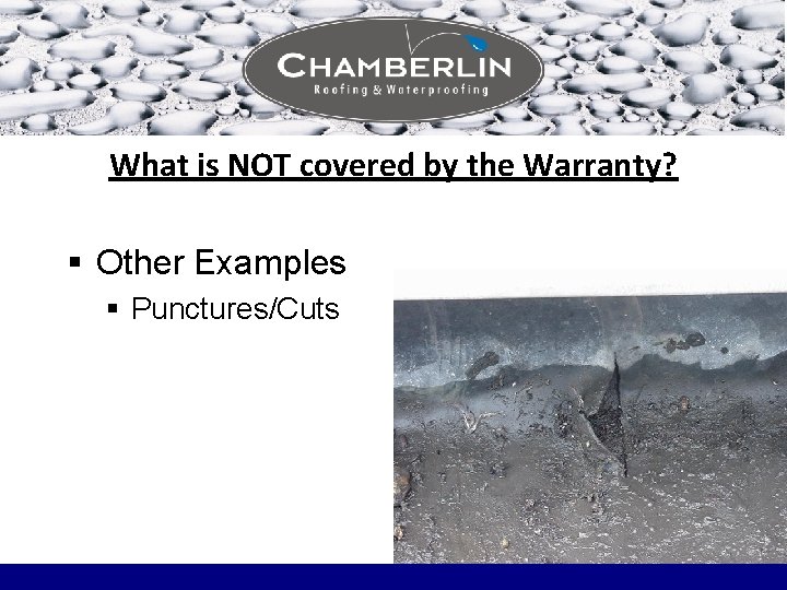 What is NOT covered by the Warranty? § Other Examples § Punctures/Cuts What is NOT covered by the Warranty? § Other Examples § Punctures/Cuts
