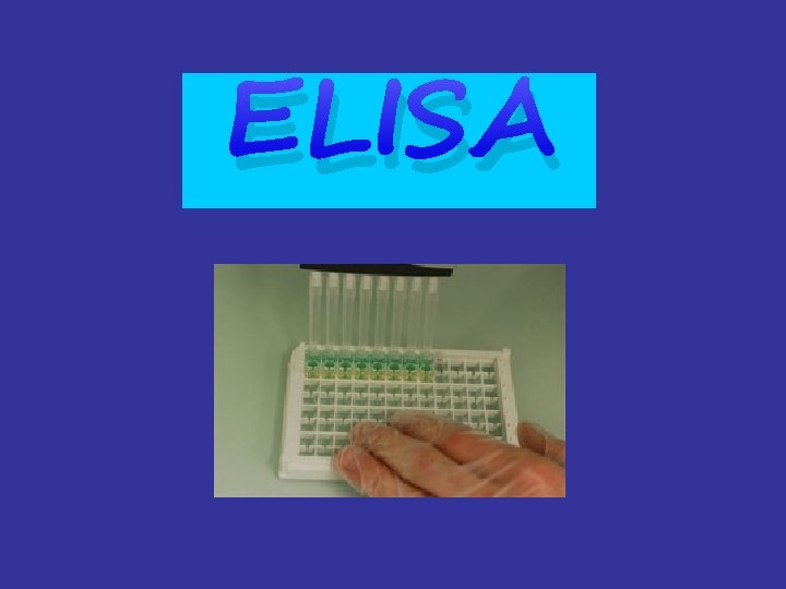 ELISA 