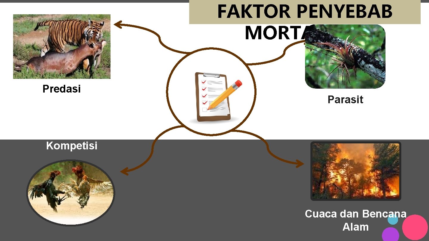 FAKTOR PENYEBAB MORTALITAS Predasi Parasit Kompetisi Cuaca dan Bencana Alam 