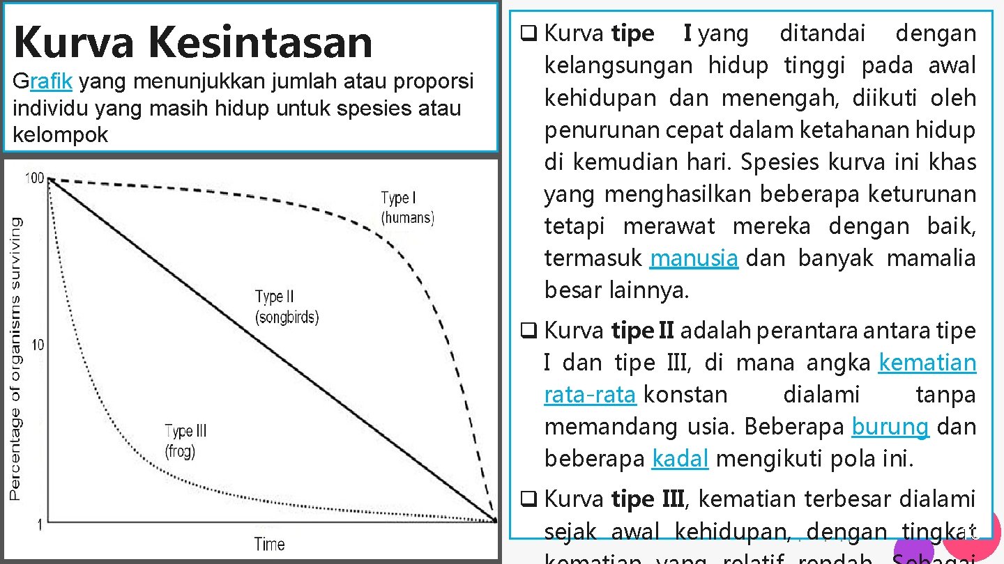 Kurva Kesintasan Grafik yang menunjukkan jumlah atau proporsi individu yang masih hidup untuk spesies