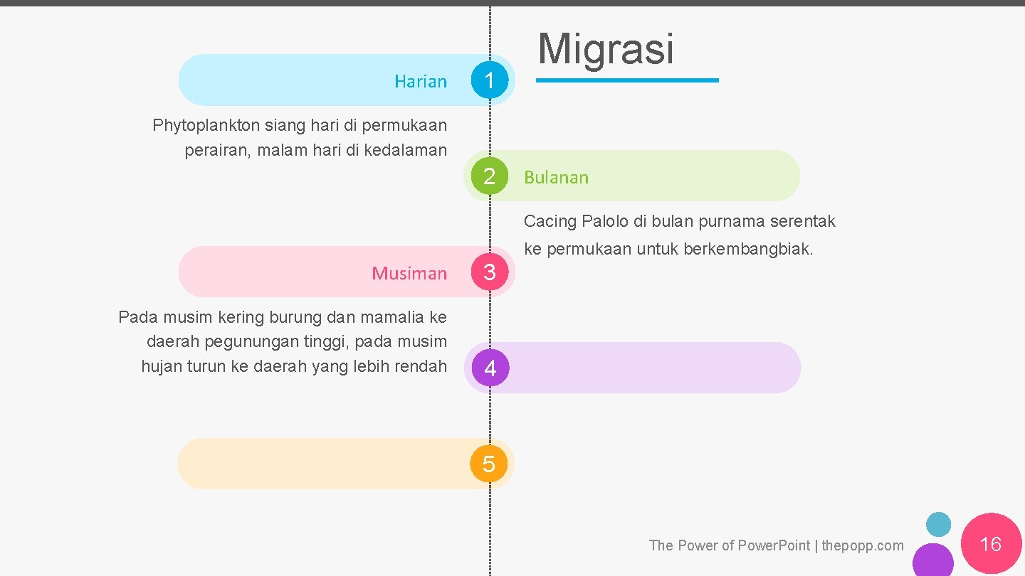 Harian 1 Migrasi Phytoplankton siang hari di permukaan perairan, malam hari di kedalaman 2