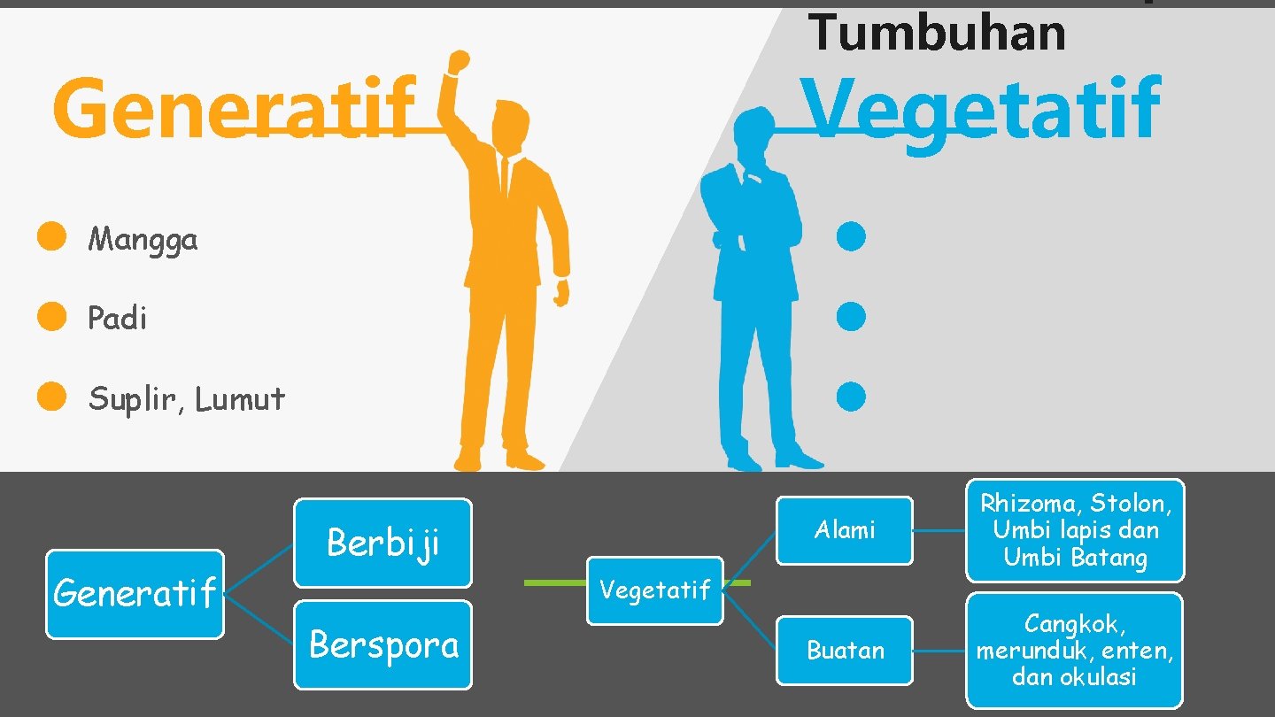 Tumbuhan Generatif Vegetatif Mangga Padi Suplir, Lumut Berbiji Generatif Alami Rhizoma, Stolon, Umbi lapis