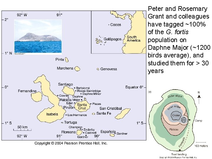 Peter and Rosemary Grant and colleagues have tagged ~100% of the G. fortis population