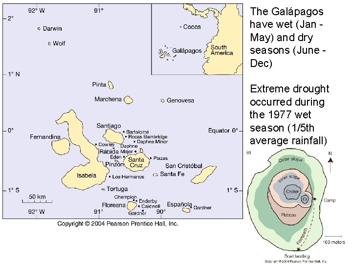 The Galápagos have wet (Jan May) and dry seasons (June Dec) Extreme drought occurred The Galápagos have wet (Jan May) and dry seasons (June Dec) Extreme drought occurred
