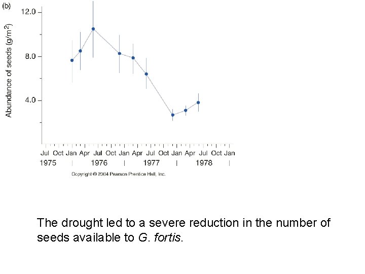 The drought led to a severe reduction in the number of seeds available to