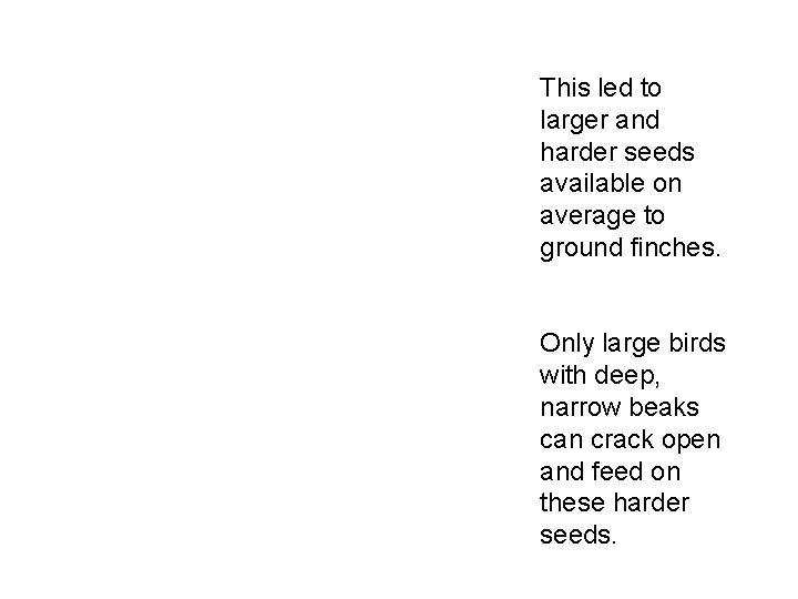 This led to larger and harder seeds available on average to ground finches. Only