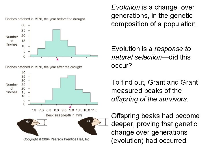 Evolution is a change, over generations, in the genetic composition of a population. Evolution