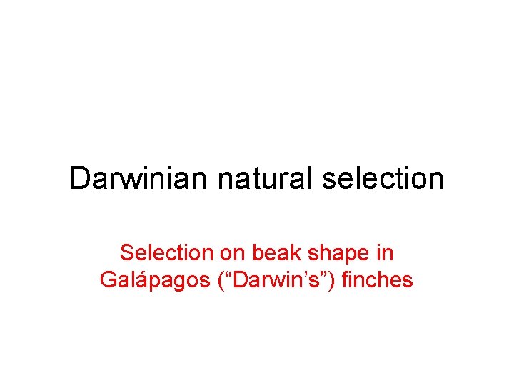 Darwinian natural selection Selection on beak shape in Galápagos (“Darwin’s”) finches Darwinian natural selection Selection on beak shape in Galápagos (“Darwin’s”) finches