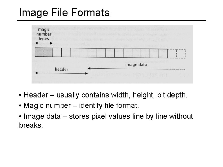 Image File Formats • Header – usually contains width, height, bit depth. • Magic