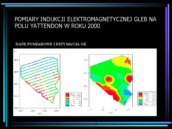 POMIARY INDUKCJI ELEKTROMAGNETYCZNEJ GLEB NA POLU YATTENDON W ROKU 2000 DANE POMIAROWE I ESTYMACJA