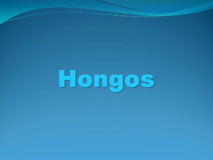 Hongos 