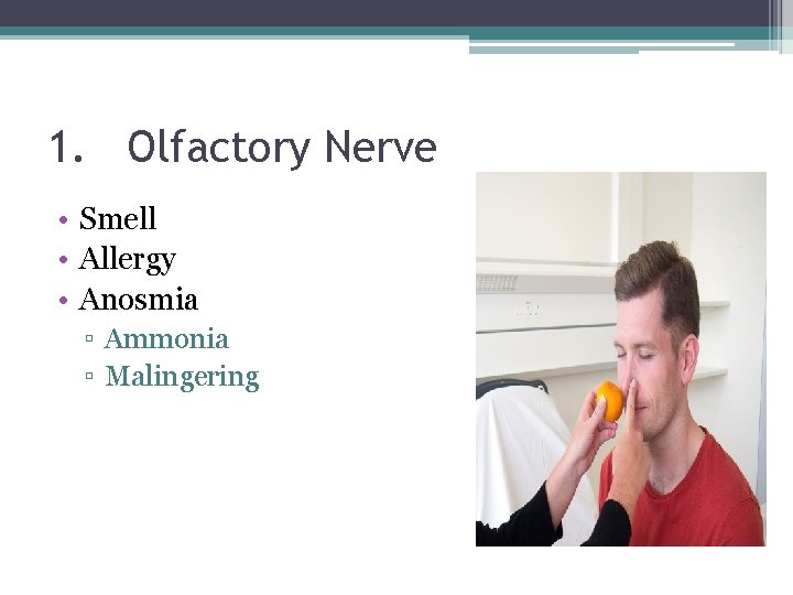 1. Olfactory Nerve • Smell • Allergy • Anosmia ▫ Ammonia ▫ Malingering 1. Olfactory Nerve • Smell • Allergy • Anosmia ▫ Ammonia ▫ Malingering