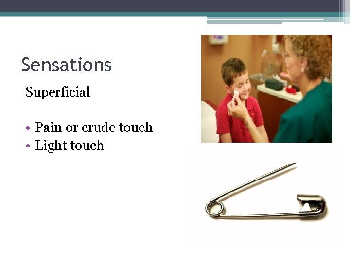 Sensations Superficial • Pain or crude touch • Light touch Sensations Superficial • Pain or crude touch • Light touch