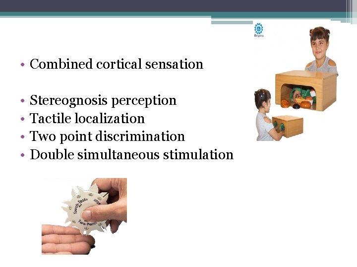 • Combined cortical sensation • • Stereognosis perception Tactile localization Two point discrimination • Combined cortical sensation • • Stereognosis perception Tactile localization Two point discrimination