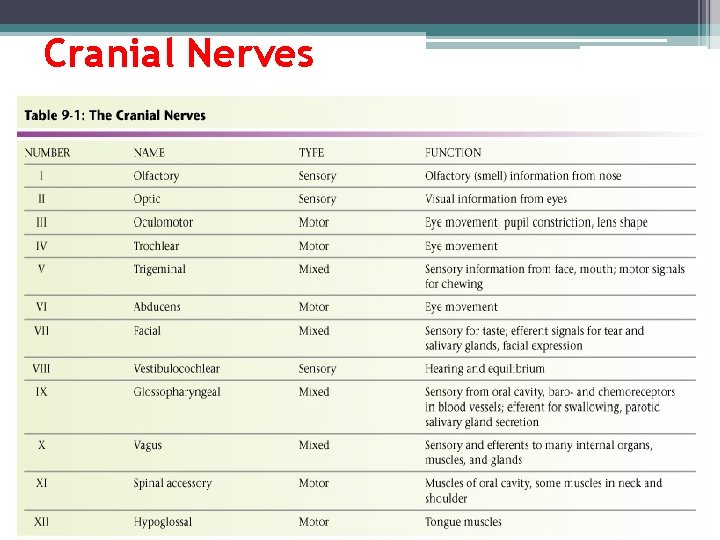Cranial Nerves Table 9 -1: The Cranial Nerves Cranial Nerves Table 9 -1: The Cranial Nerves