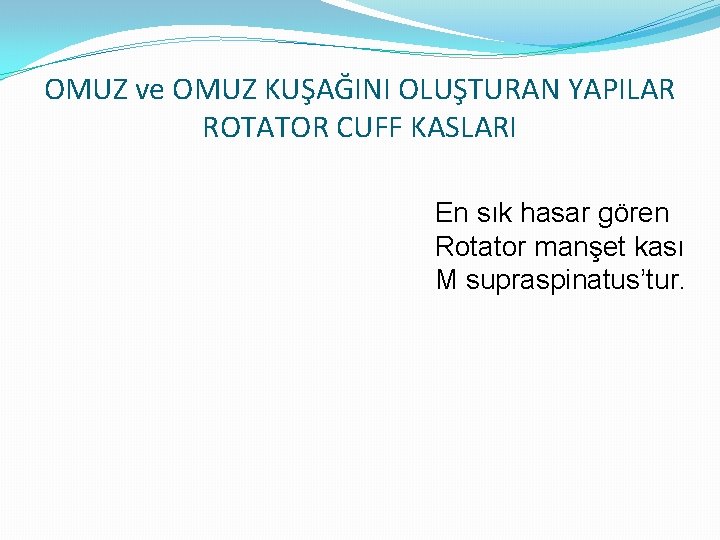 OMUZ ve OMUZ KUŞAĞINI OLUŞTURAN YAPILAR ROTATOR CUFF KASLARI En sık hasar gören Rotator