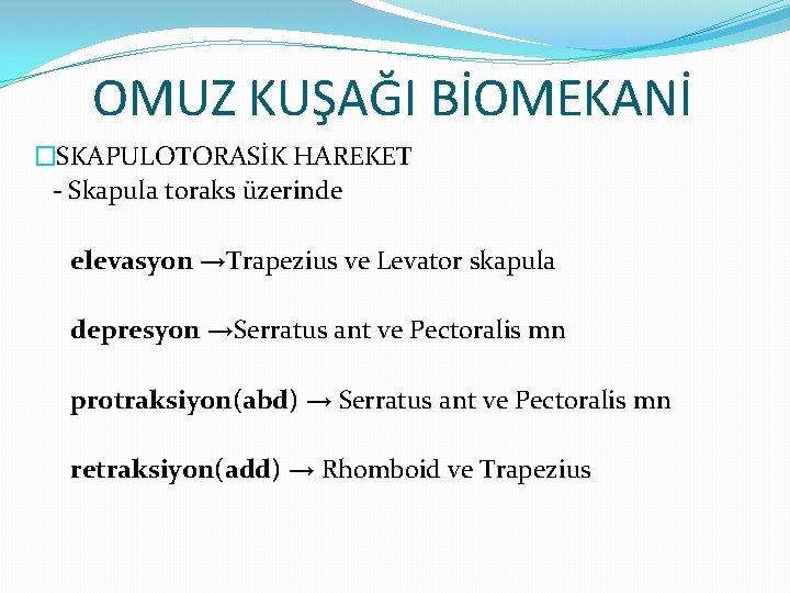 OMUZ KUŞAĞI BİOMEKANİ �SKAPULOTORASİK HAREKET - Skapula toraks üzerinde elevasyon →Trapezius ve Levator skapula