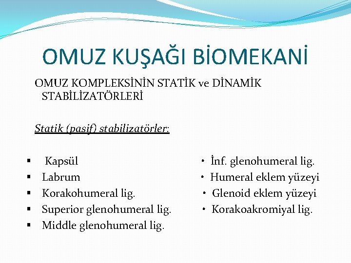 OMUZ KUŞAĞI BİOMEKANİ OMUZ KOMPLEKSİNİN STATİK ve DİNAMİK STABİLİZATÖRLERİ Statik (pasif) stabilizatörler: § §